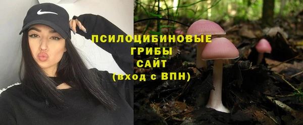 прущая мука Вяземский