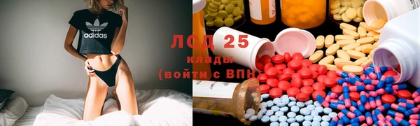 прущая мука Вяземский