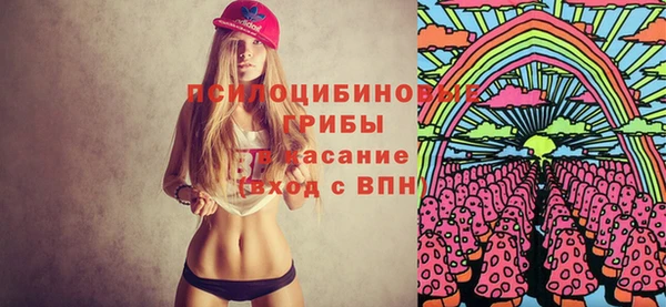 прущая мука Вяземский