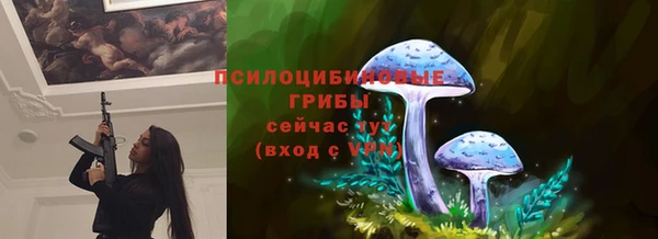 прущая мука Вяземский