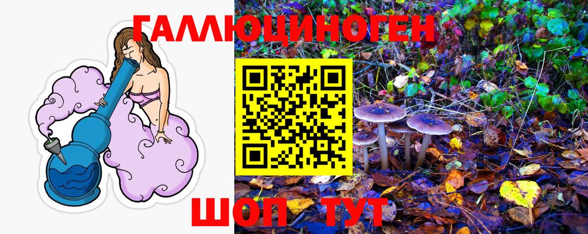 Галлюциногенные грибы Magic Shrooms Ступино